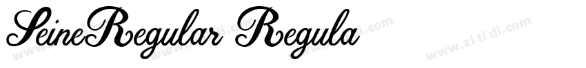 SeineRegular Regula字体转换